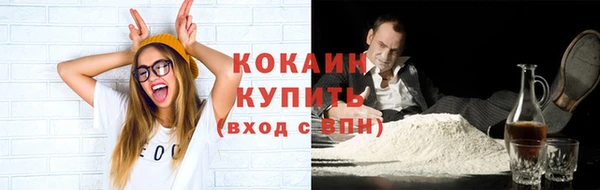шишки Балахна