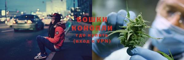 дмт Белокуриха