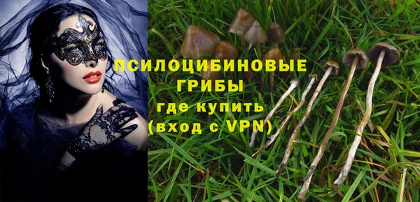 дмт Белокуриха
